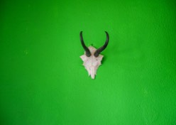 Neuheiten Frühling Sommer